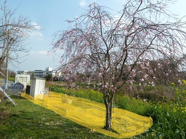 東松山市大字松山 中古戸建